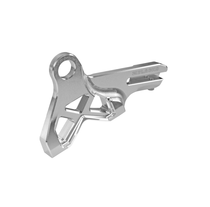 Softail rear radial caliper mount