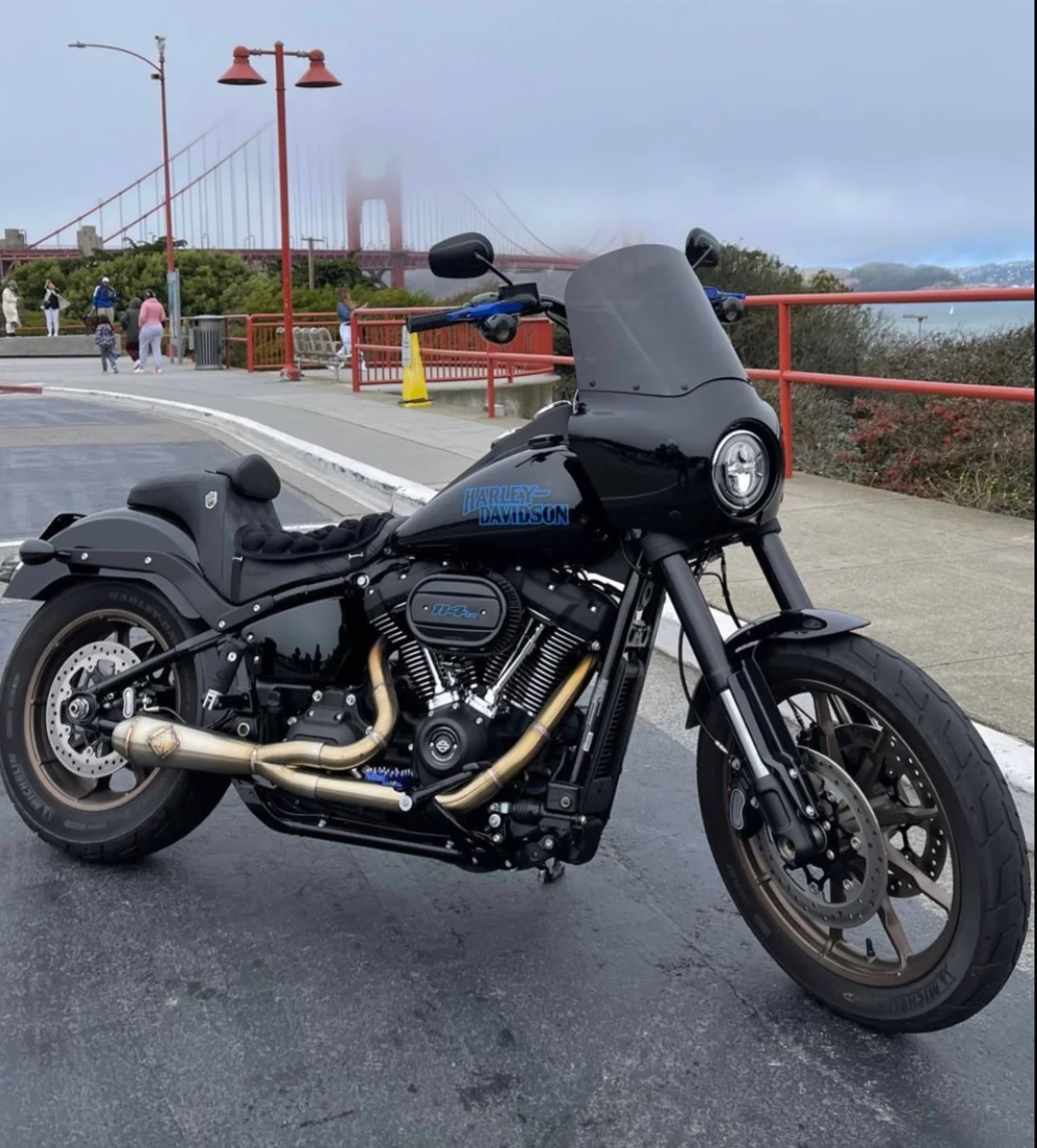 2018-PRESENT M8 SOFTAIL - LANESPLITTER