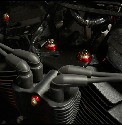 M8 Softail Mid Engine Mount ARP Kit