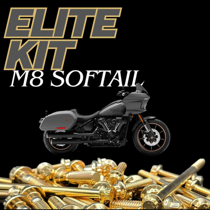 Low Rider S & ST Elite ARP Kit