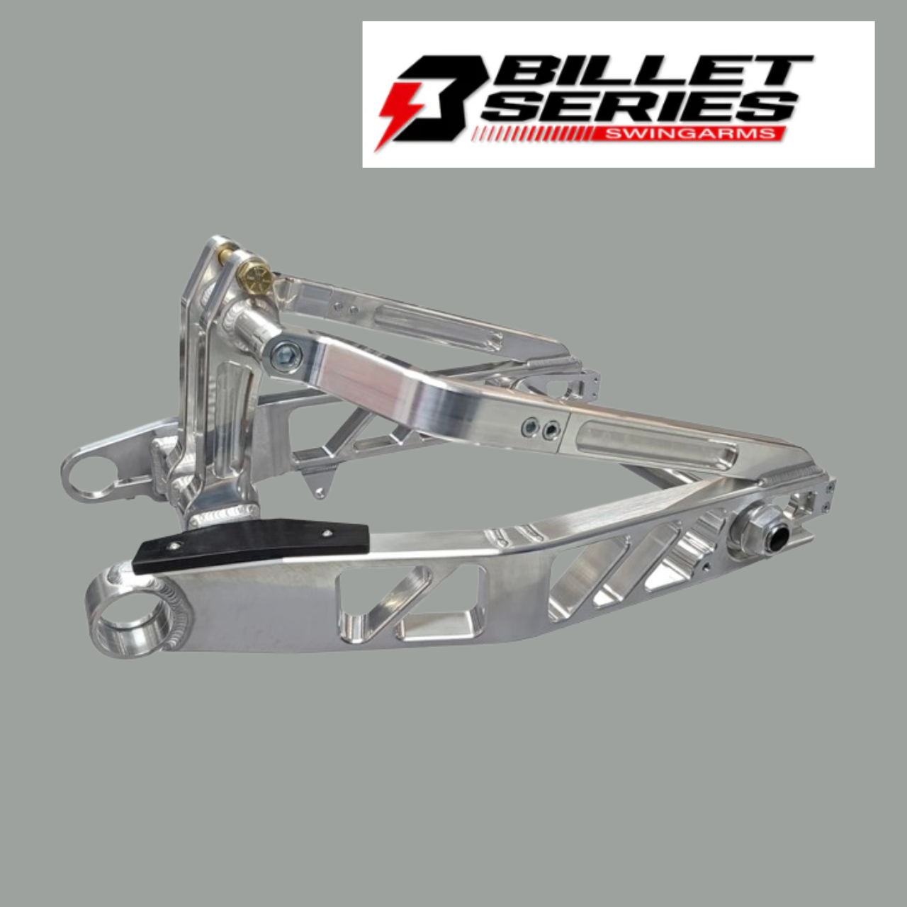 Trac Dynamics Harley 18-23 Softail "Racer" Swingarms