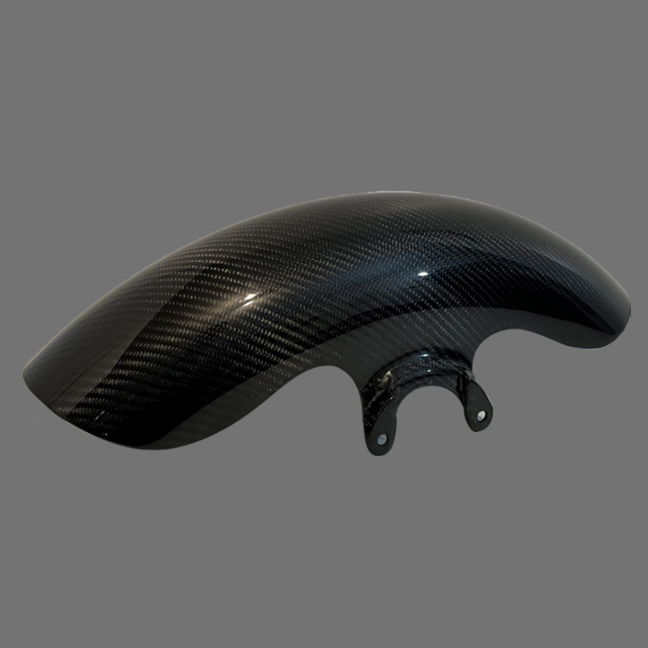 Luca's Carbon Front fender 19 inches Touring R/S Glide (from 2014)