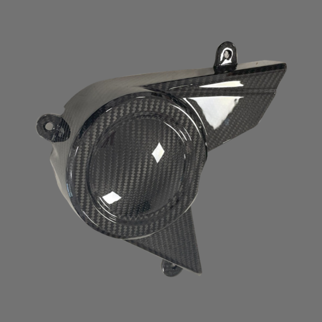 Luca's Carbon Sprocket cover Pan America (from 2021)