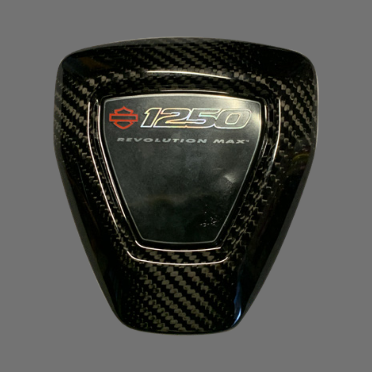Luca's Carbon Coil cover Pan America (from 2021)