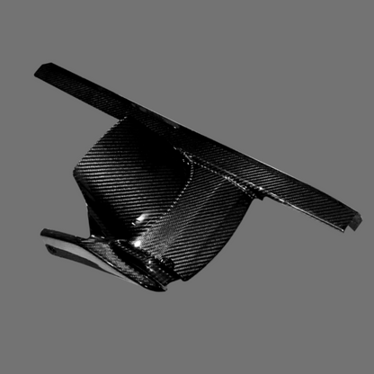 Luca's Carbon Rear fender Pan America (from 2021)