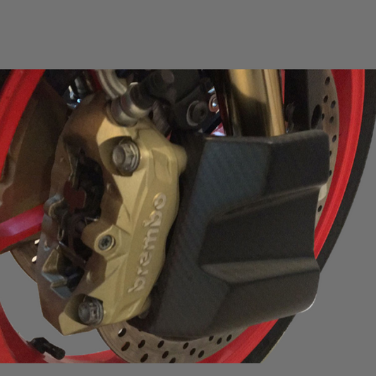 Luca's Carbon Front brakes Air Conveyors Pan America (from 2021)