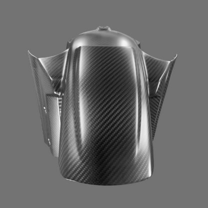 Luca's Carbon Front fender Pan America (from 2021)