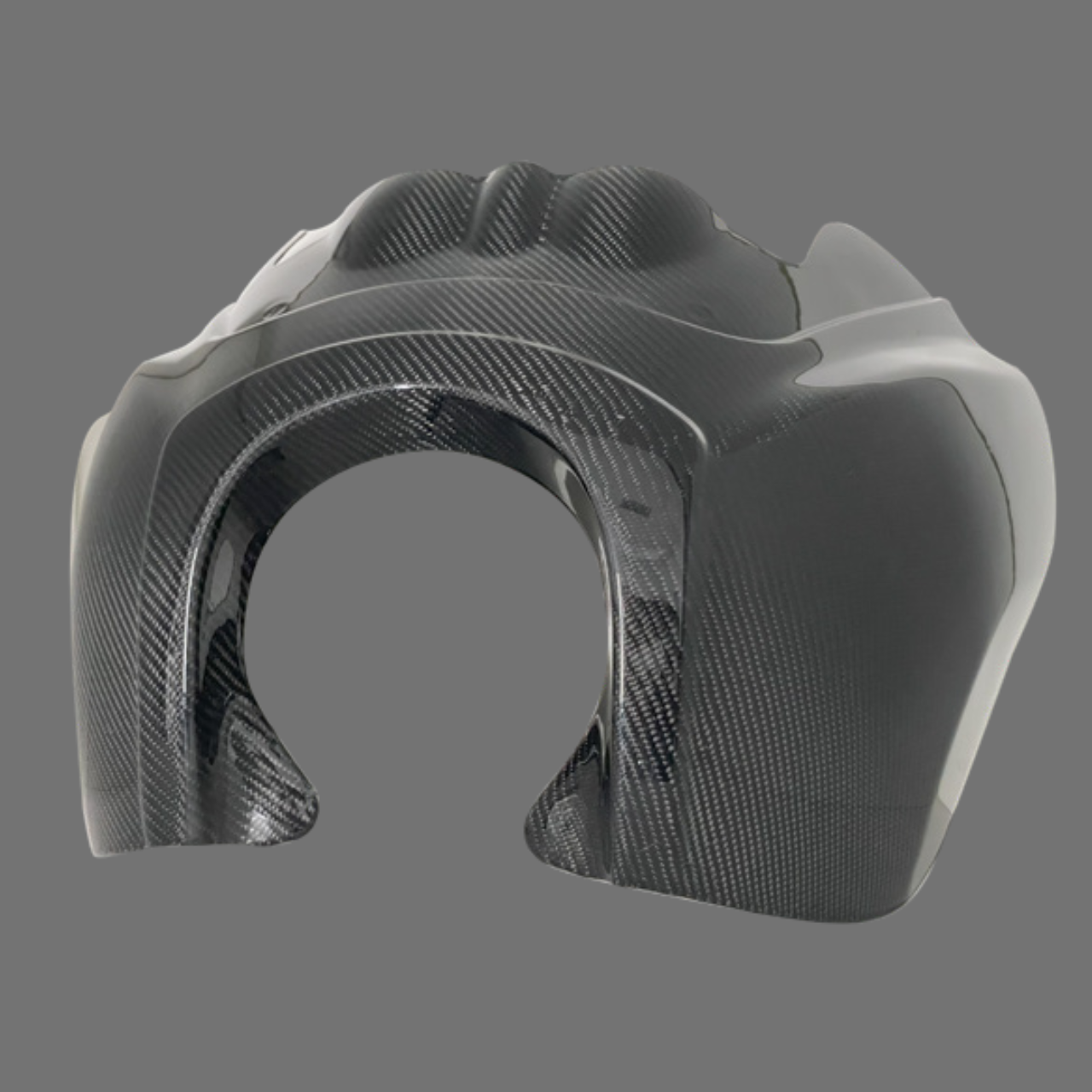 Luca's Carbon Fairing T Sport  from 2006 (windshield+supports set)