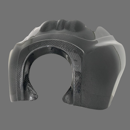 Luca's Carbon Fairing T Sport  from 2006 (windshield+supports set)