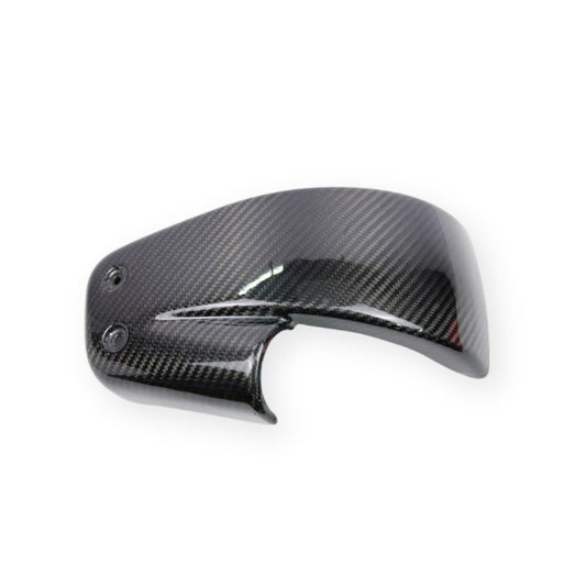 Low Rider carbon side covers