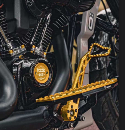 Touring rear brake arm