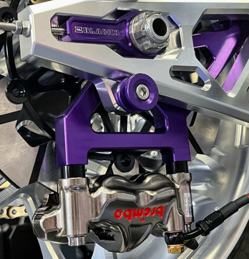 Touring  rear radial caliper mount