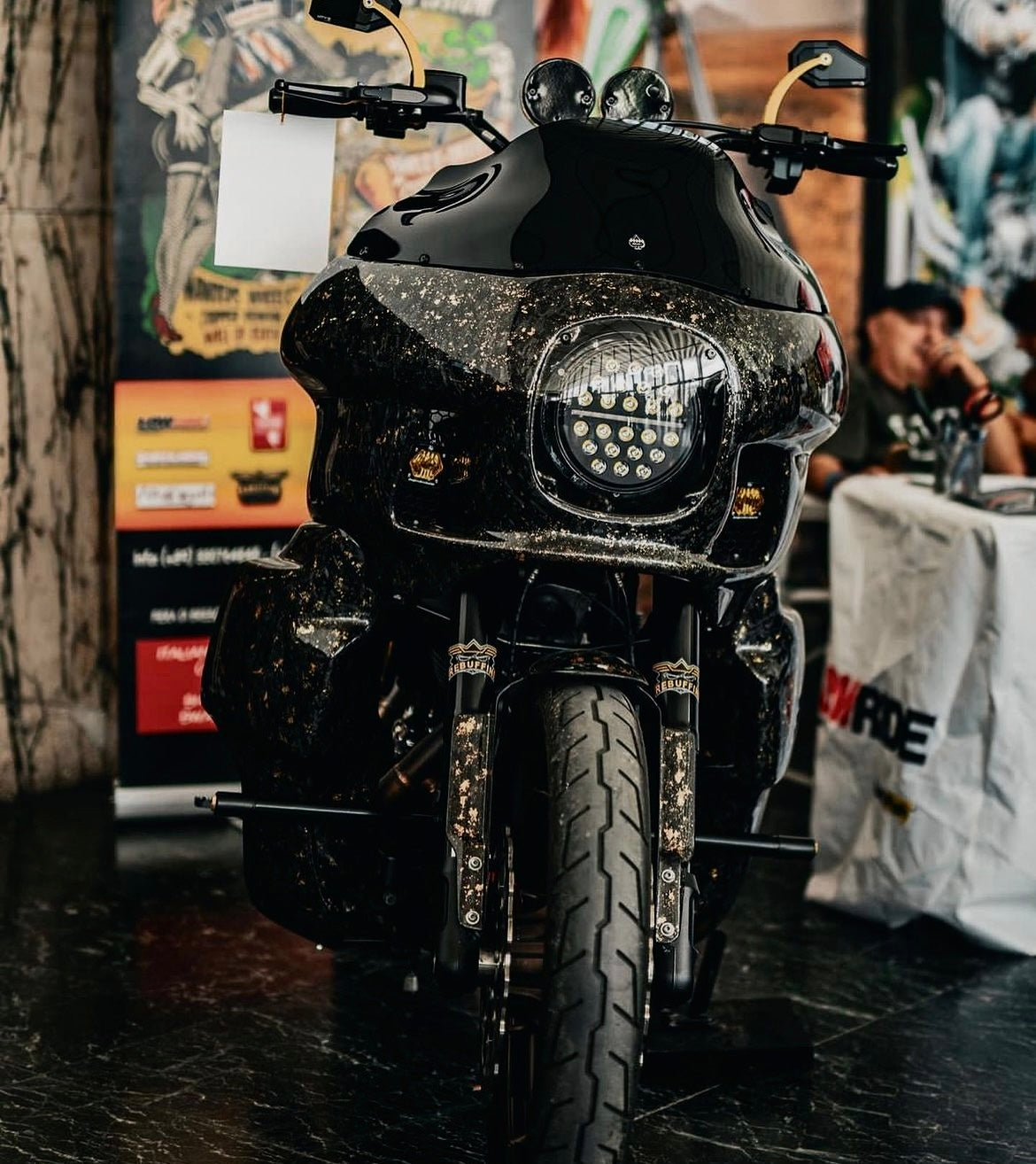 Luca's Carbon fairing FXRT