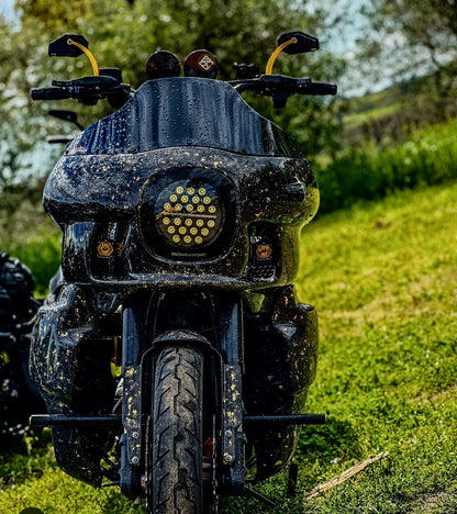 Luca's Carbon fairing FXRT